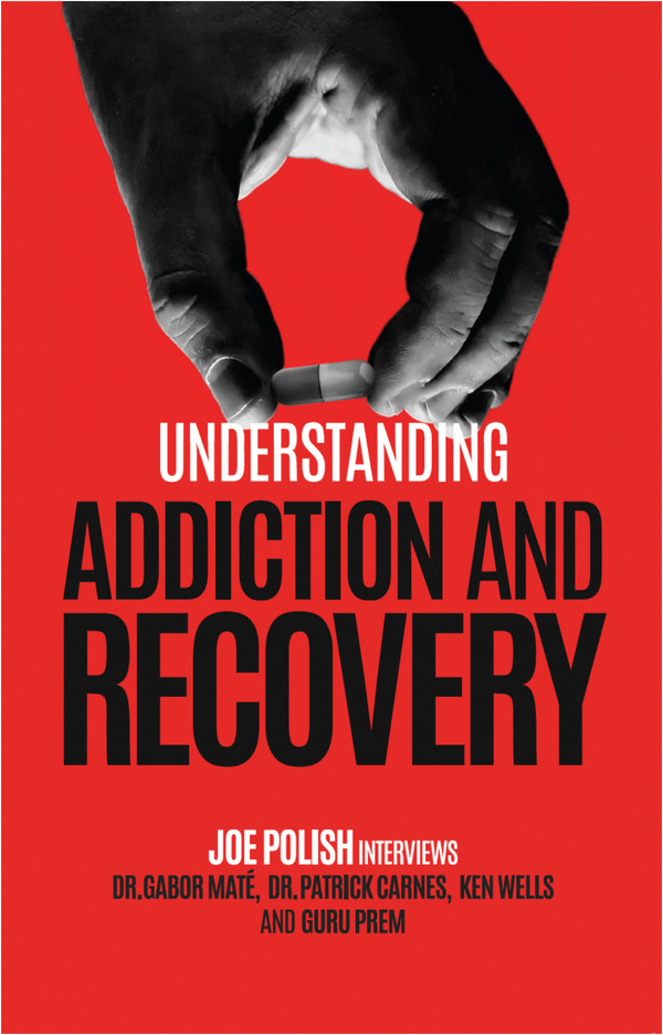 Understanding Addiction & Recovery book cover