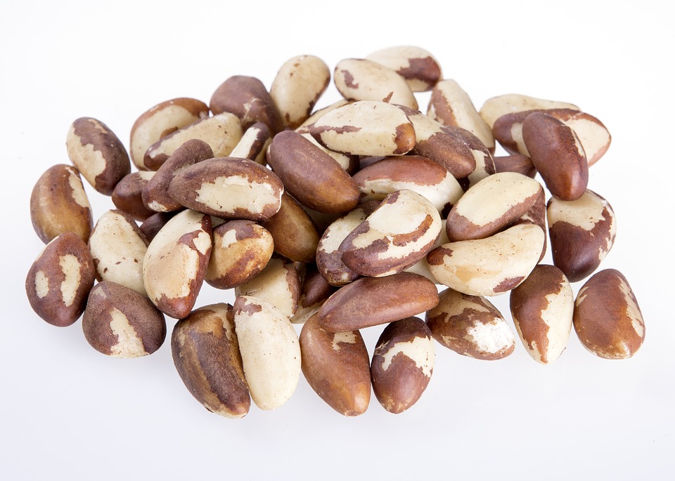 Brazil Nut Seeds Natural